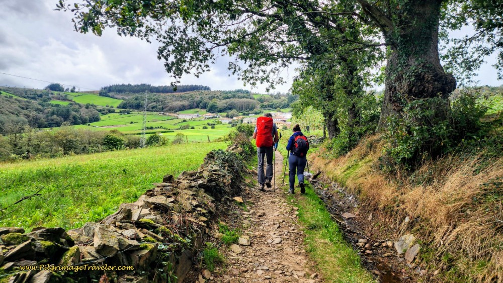 Dirt Track Toward Borres