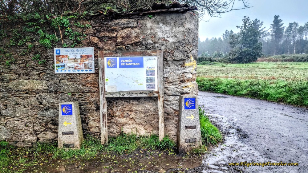 First Decision Point