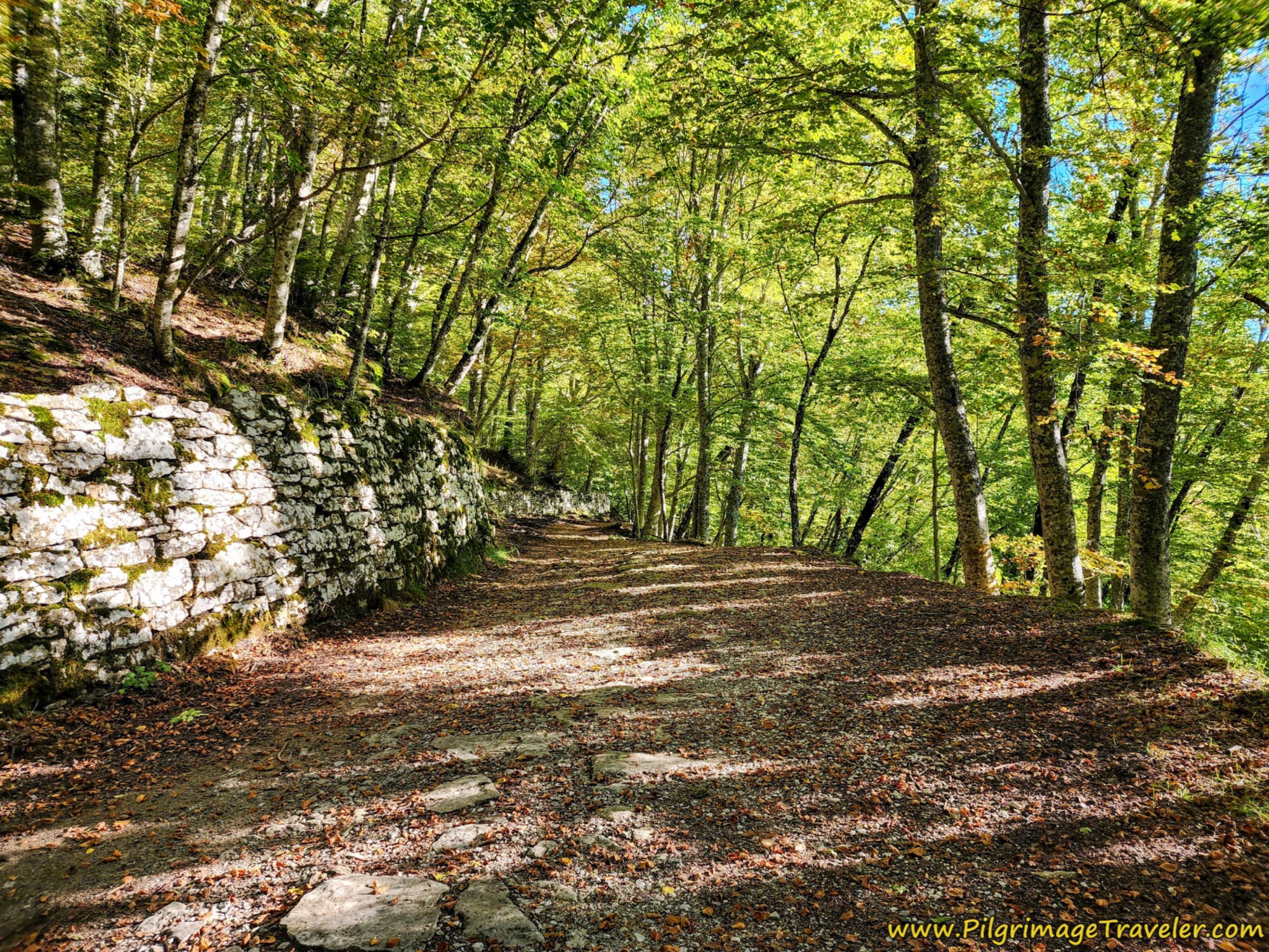 Turn Off Pavement and Onto This Lane, on Day One of the Way of St. Francis from La Verna to Pieve Santo Stefano