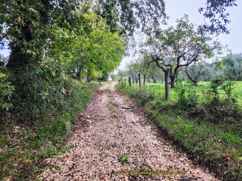 Way of St. Francis: Day Twenty-One, Ponticelli to Monterotondo - Uphill Lane, Leaving Ponticelli