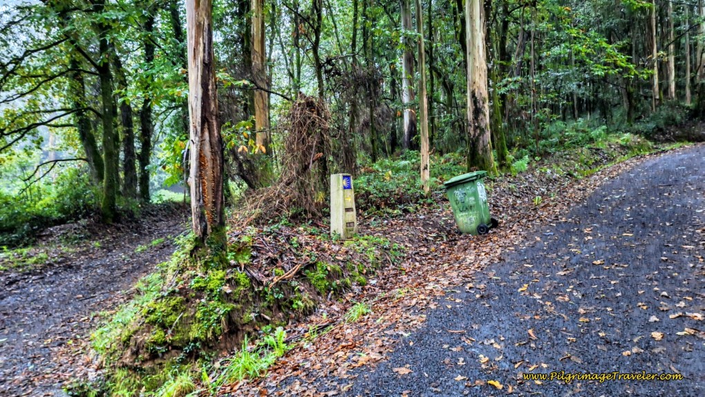 Right Turn at Fork in Road