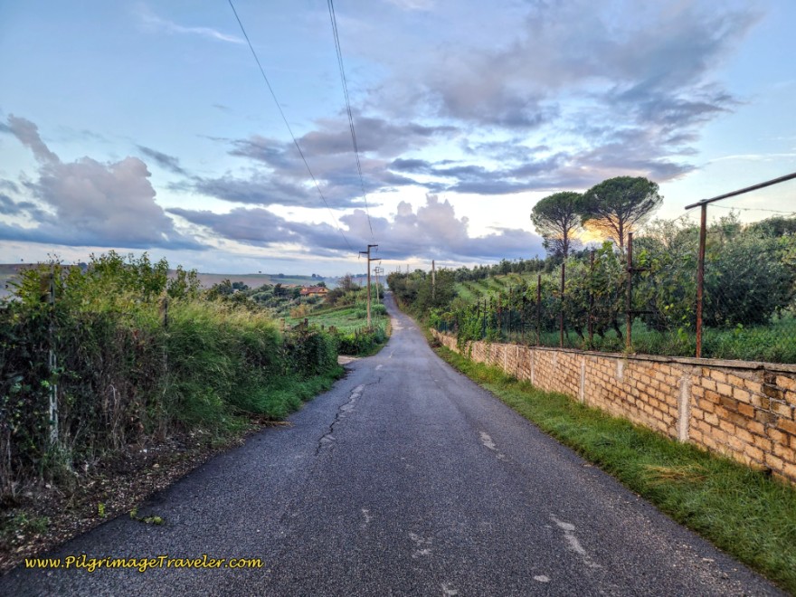 Way of St. Francis: Day Twenty-Two, Monterotondo to Monte Sacro - Downhill Stroll Through the Countryside