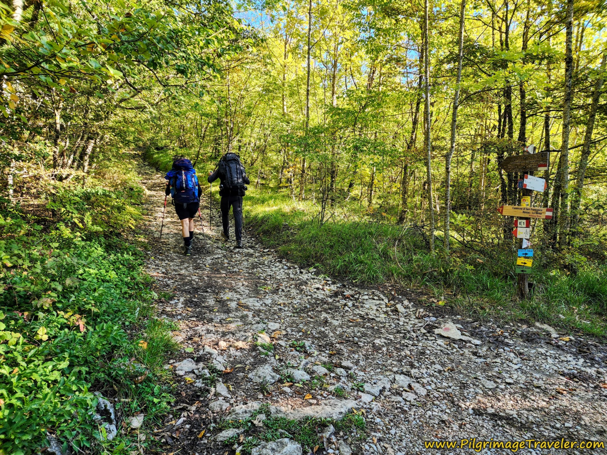 Left Turn Onto Trail