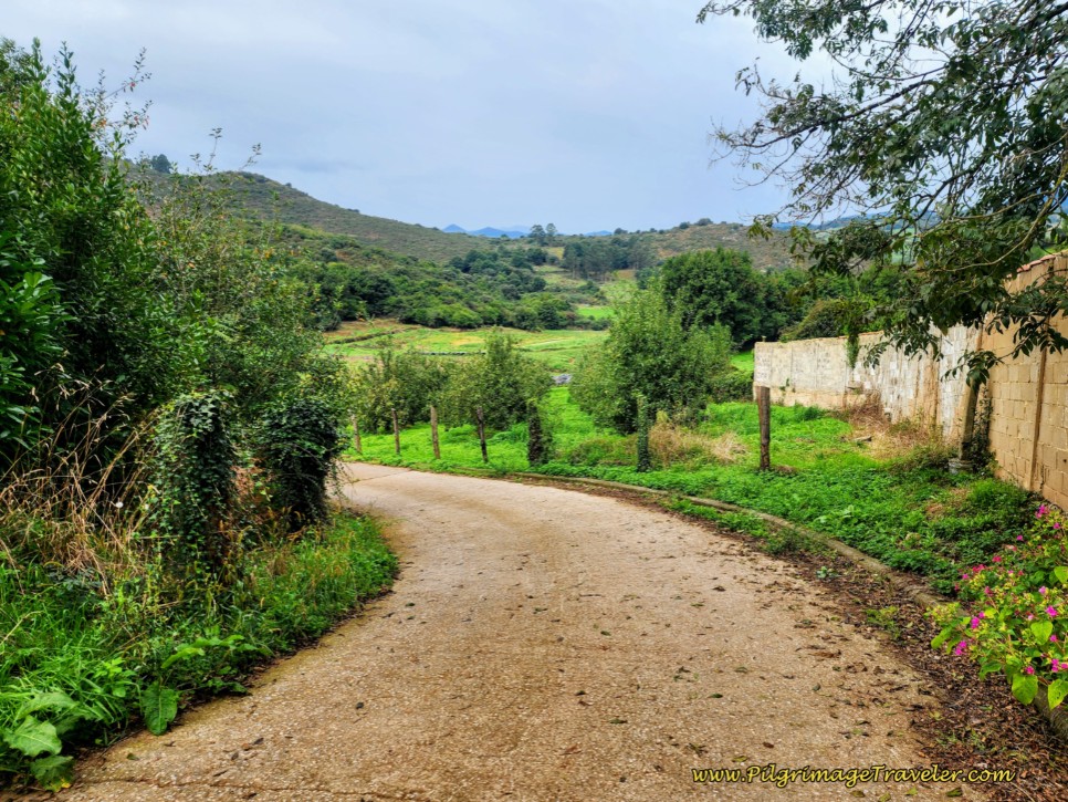 Quiet Lane with Stone Wall