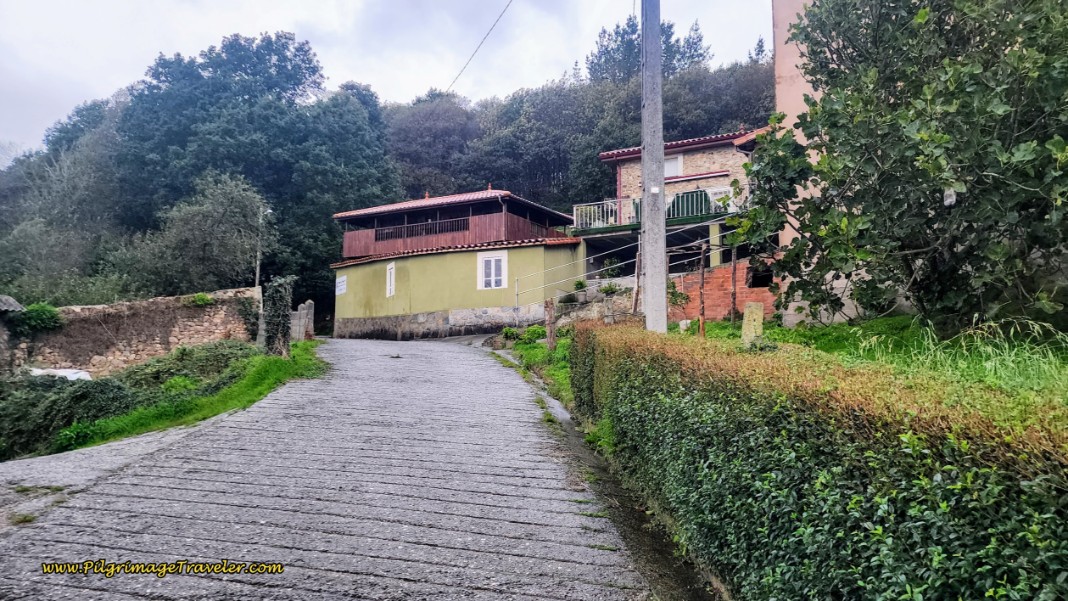 Vending Area Ahead at Hórreo