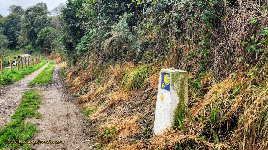 Turn Onto Farmer’s Lane After La Pareda