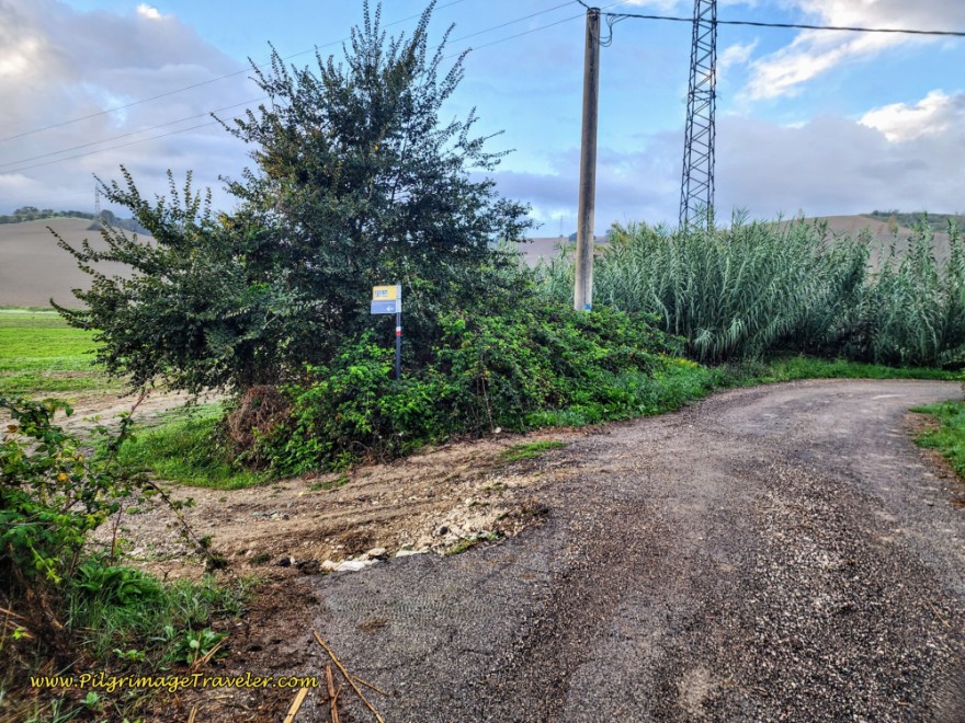 Left Turn Onto Farm Lane