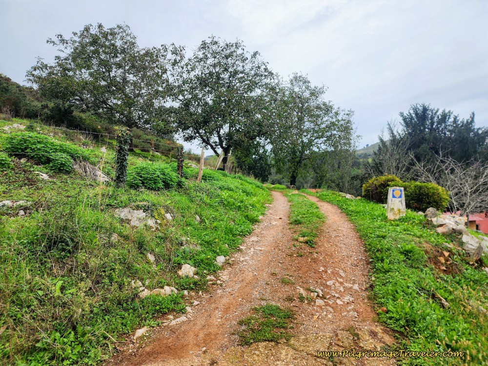Pick Up Dirt Tractor Lane at Farm