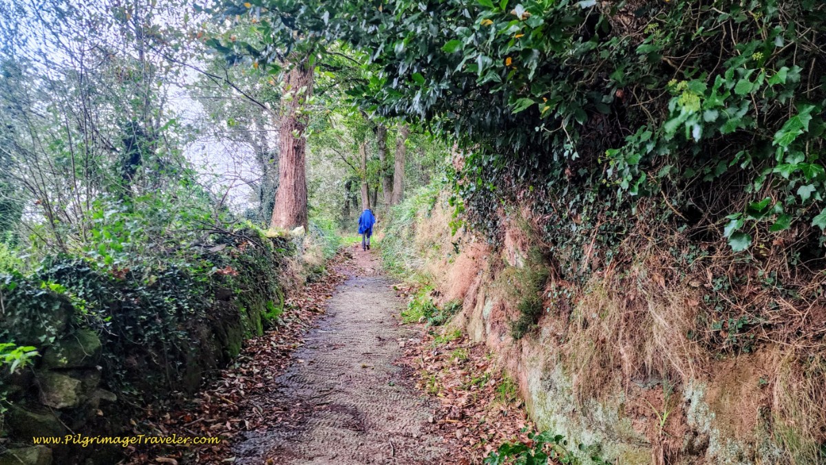 Track When Pavement Ends