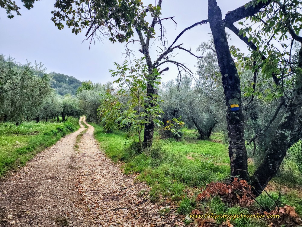 Way of St. Francis: Day Twenty-One, Ponticelli to Monterotondo - Continuing Downhill Gravel Lane