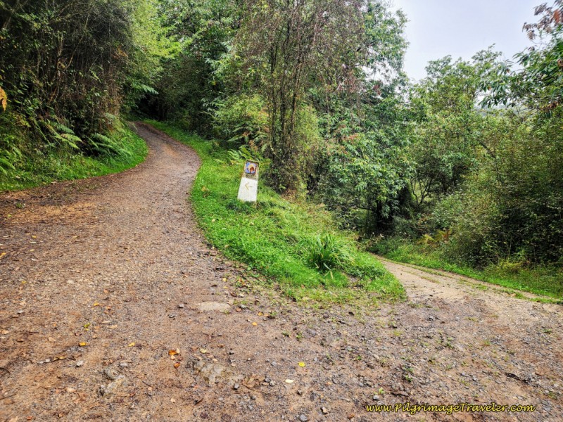 Left Turn Uphill on Another Lane