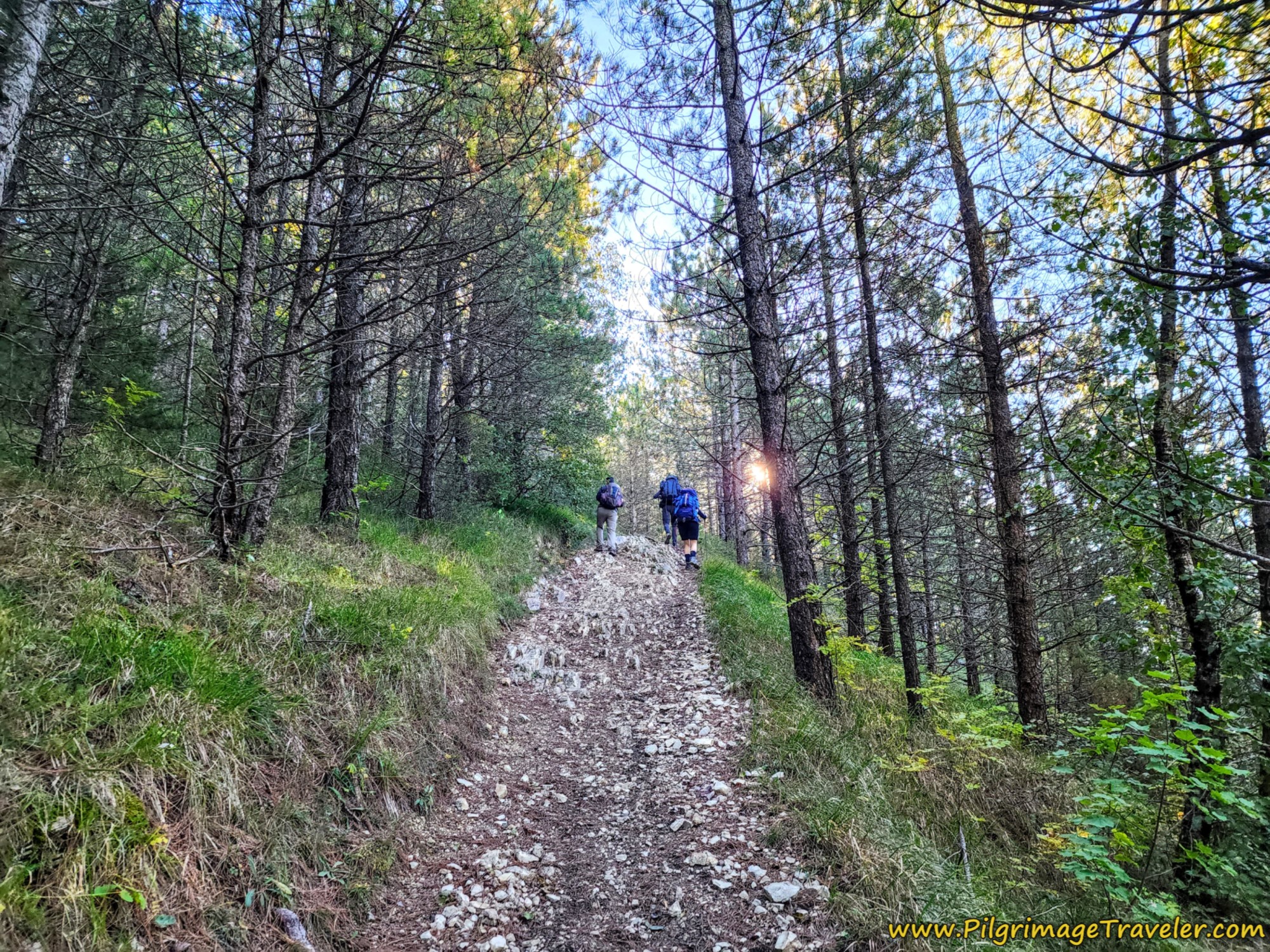 Rocky and Steep Pitch