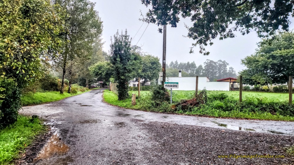 Routes Converge in Parabispo