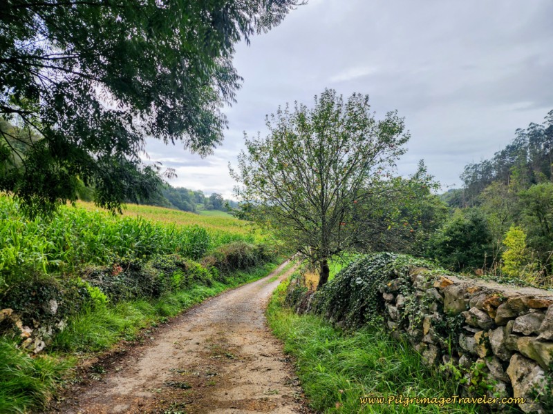 Deeper into the Countryside