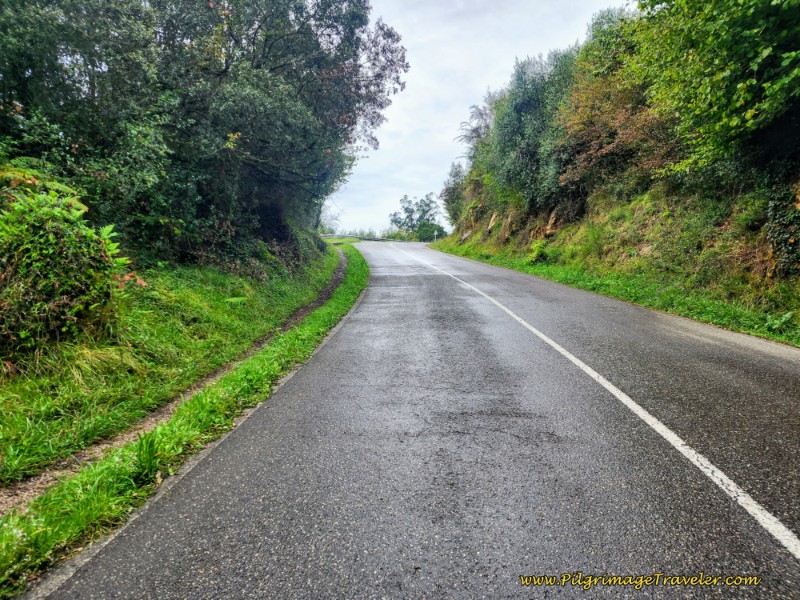 Pavement Towards Premoño