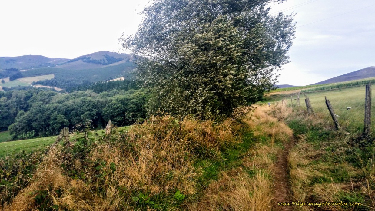 The Country Path Just Beyond Borres