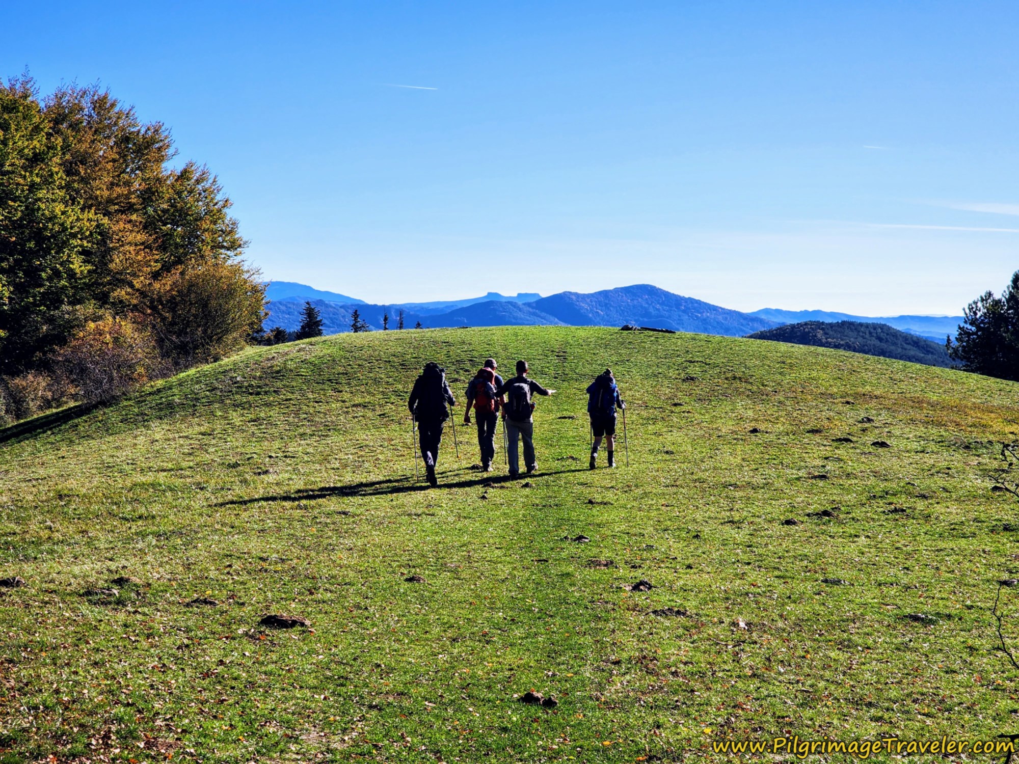 Open Meadow at the First Altitude Top, at Monte Calvano, on Day One of the Way of St. Francis from La Verna to Pieve Santo Stefano