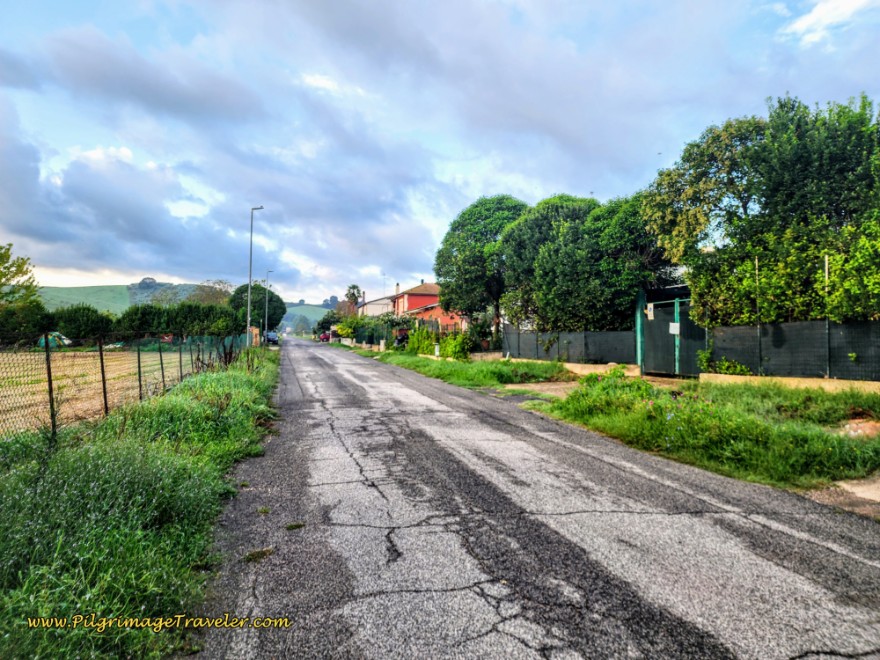 Way of St. Francis: Day Twenty-Two, Monterotondo to Monte Sacro - Via di Valle Ricca, Leading Up the Ridge