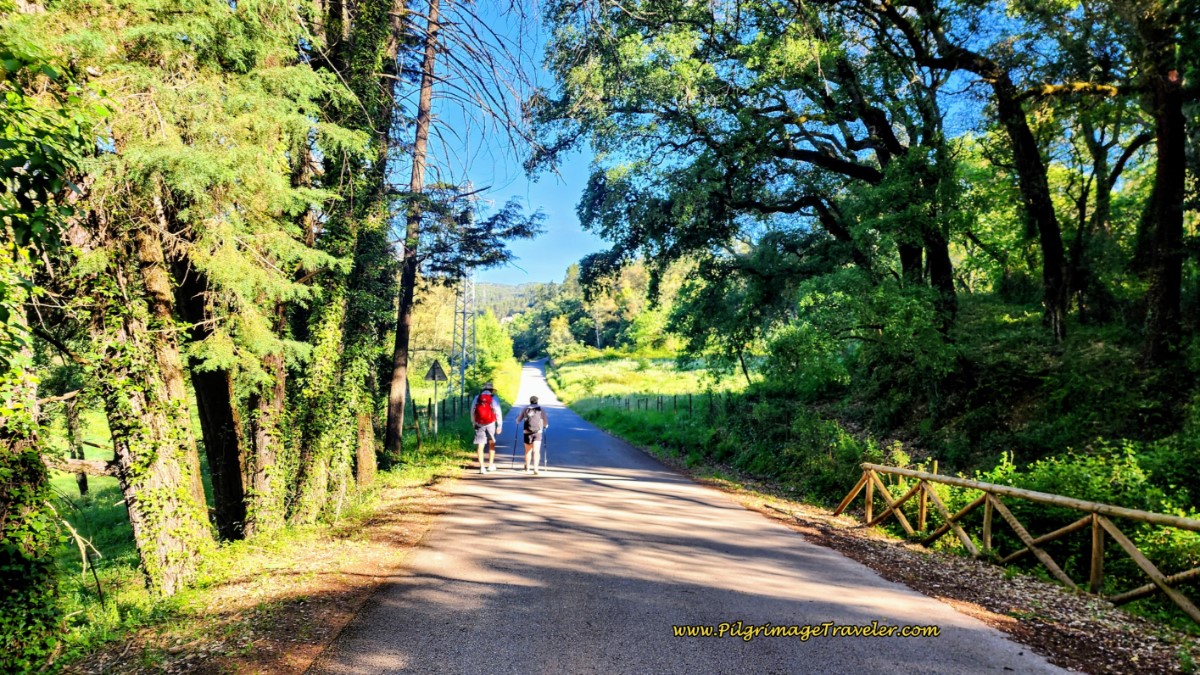 First Climb from Alvaiázere to Laranjeiras