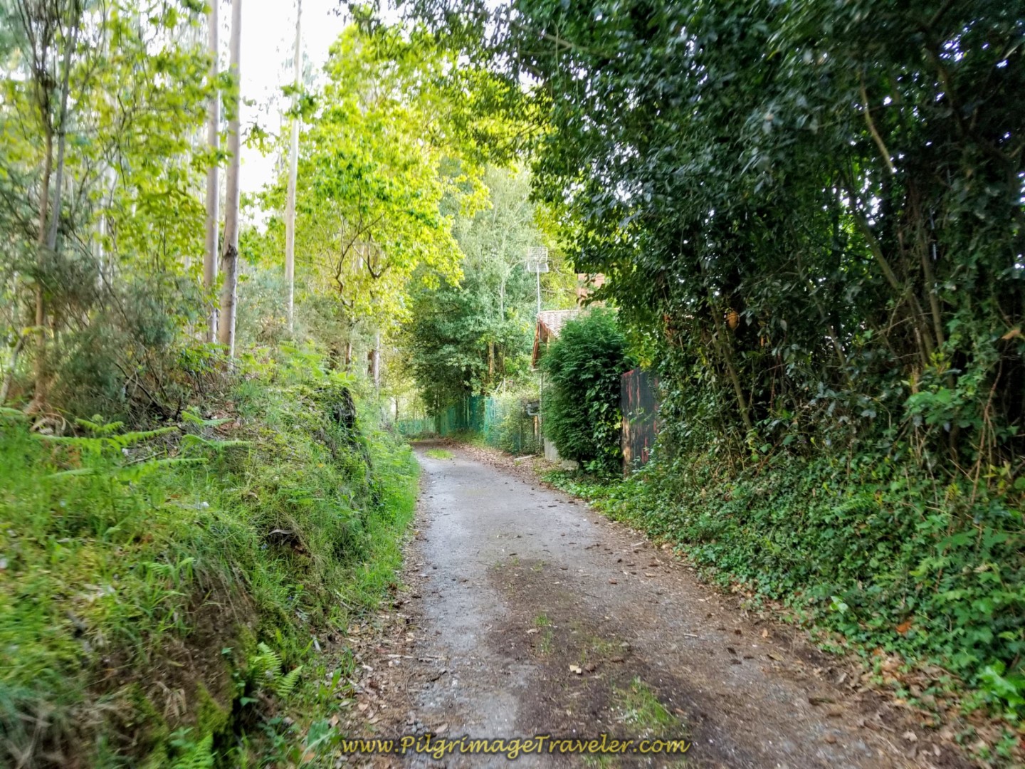Leaving Presedo on Back Lane on day six of the Camino Inglés