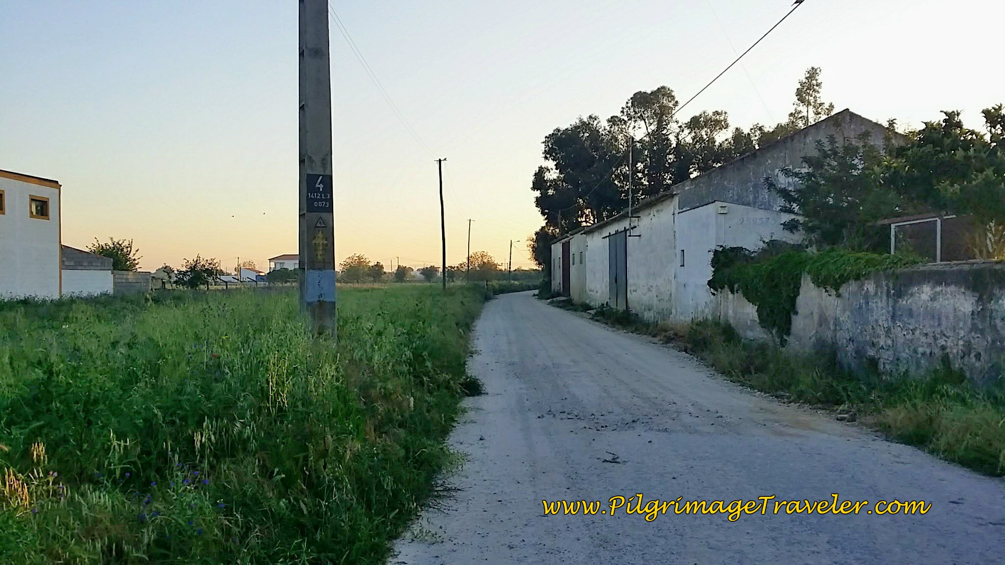 Leaving Golegã on the Rua Dr. Branco on the Portuguese Camino