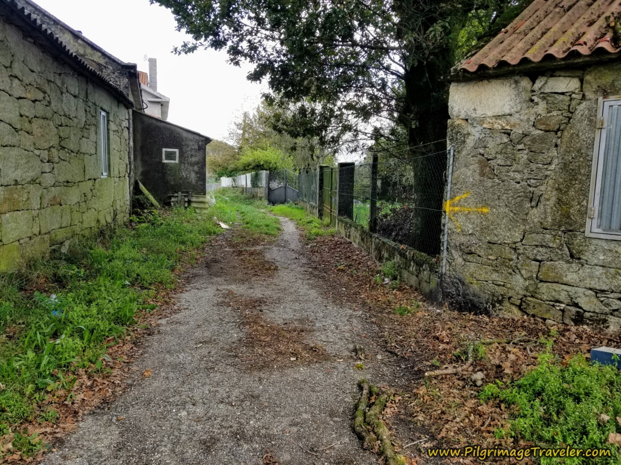 Right Turn at the Restaurant, Camino Sanabrés, Cea to Estación de Lalín