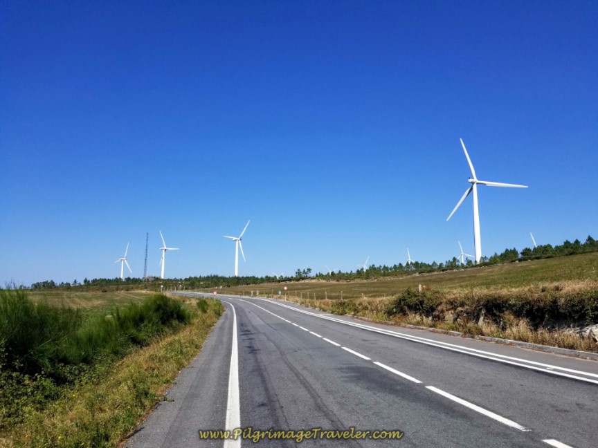 Windmills Line the DP-3404