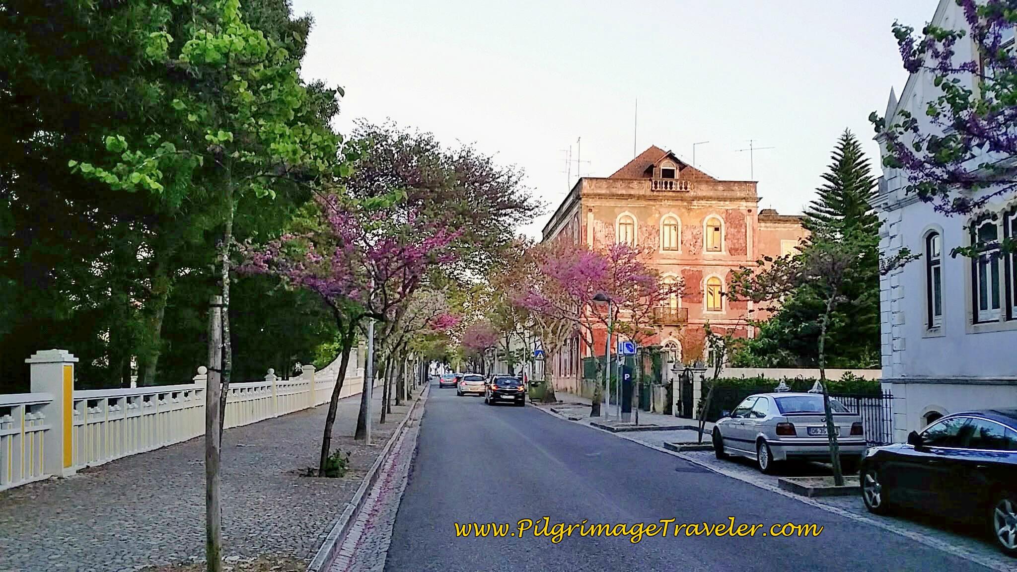 Círculo Cultural Scalabitano