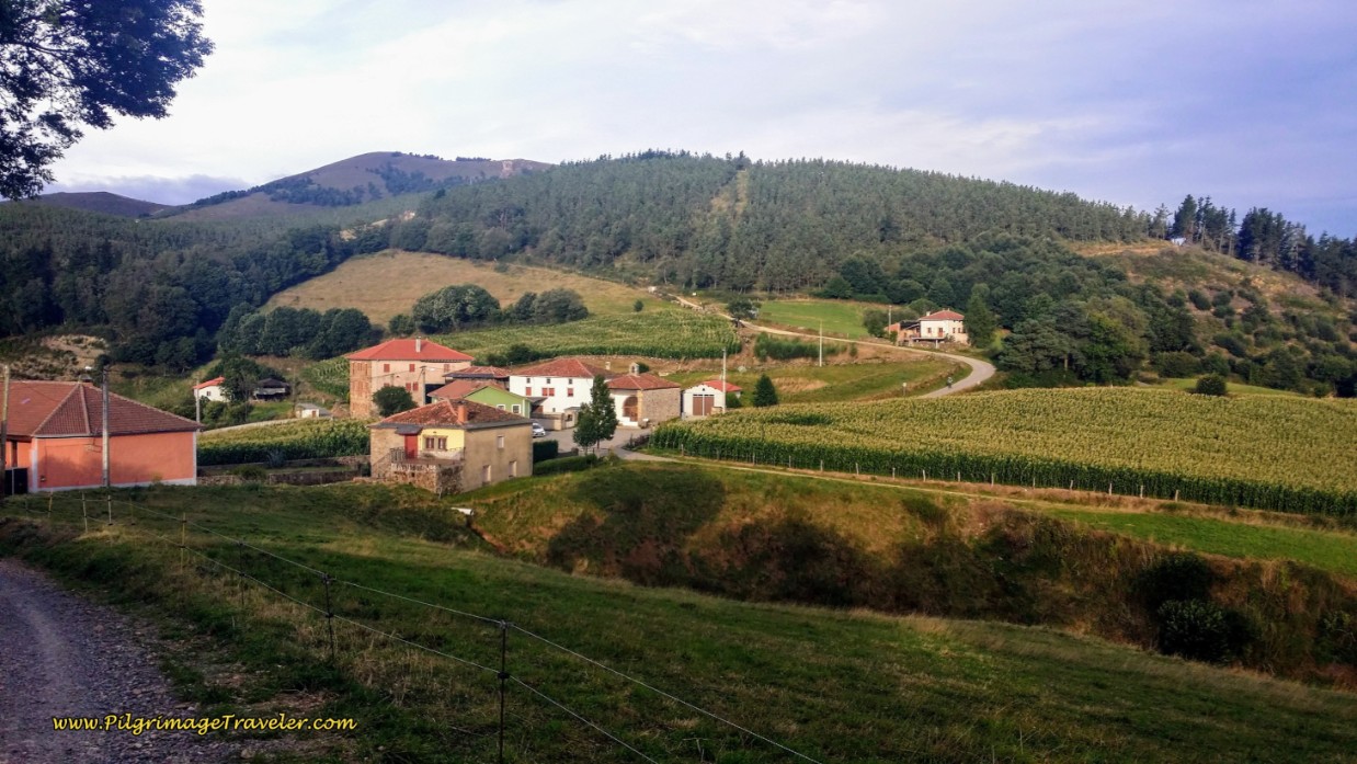Road Into La Mortera, Day Five on the Camino Primitivo