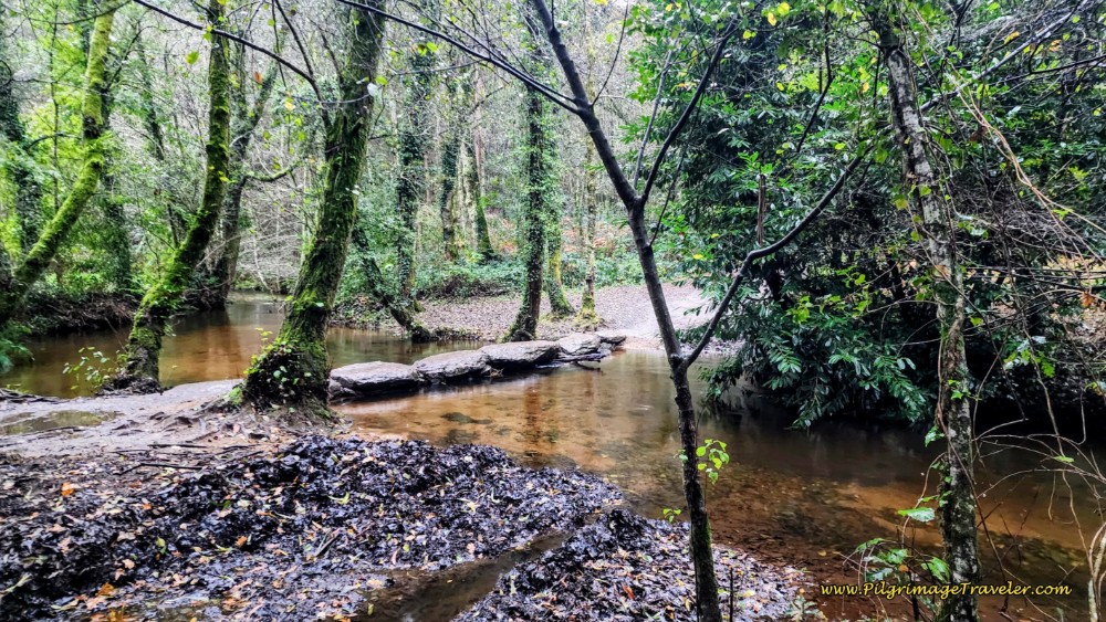 Cross the River on Stepping Stones