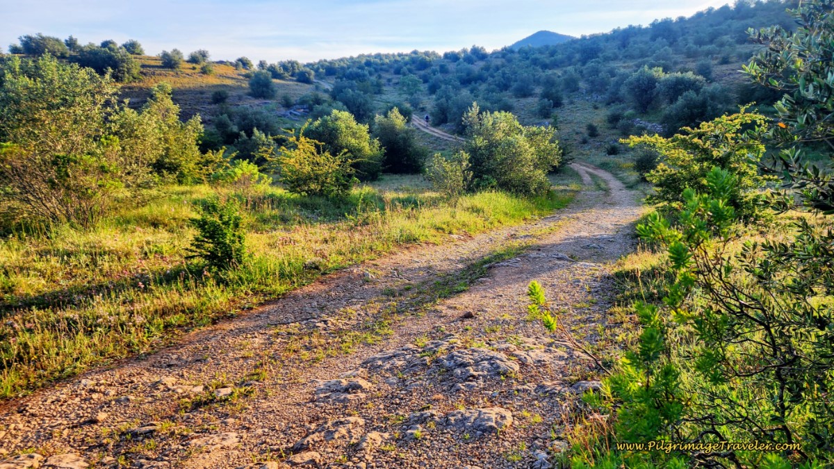Ongoing Tractor Lane Towards Second Small Climb