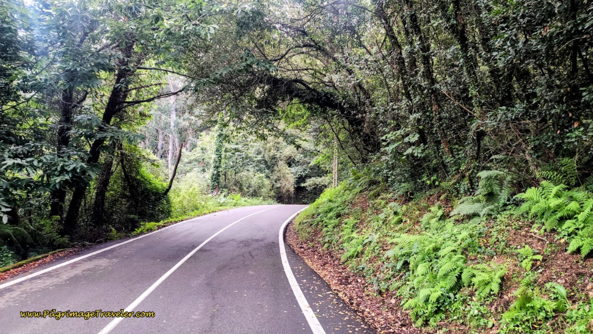 The Senda da Auga Becomes Rural