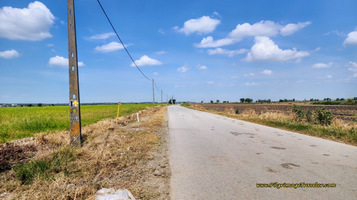 The Seemingly Endless Pavement of the N3-3
