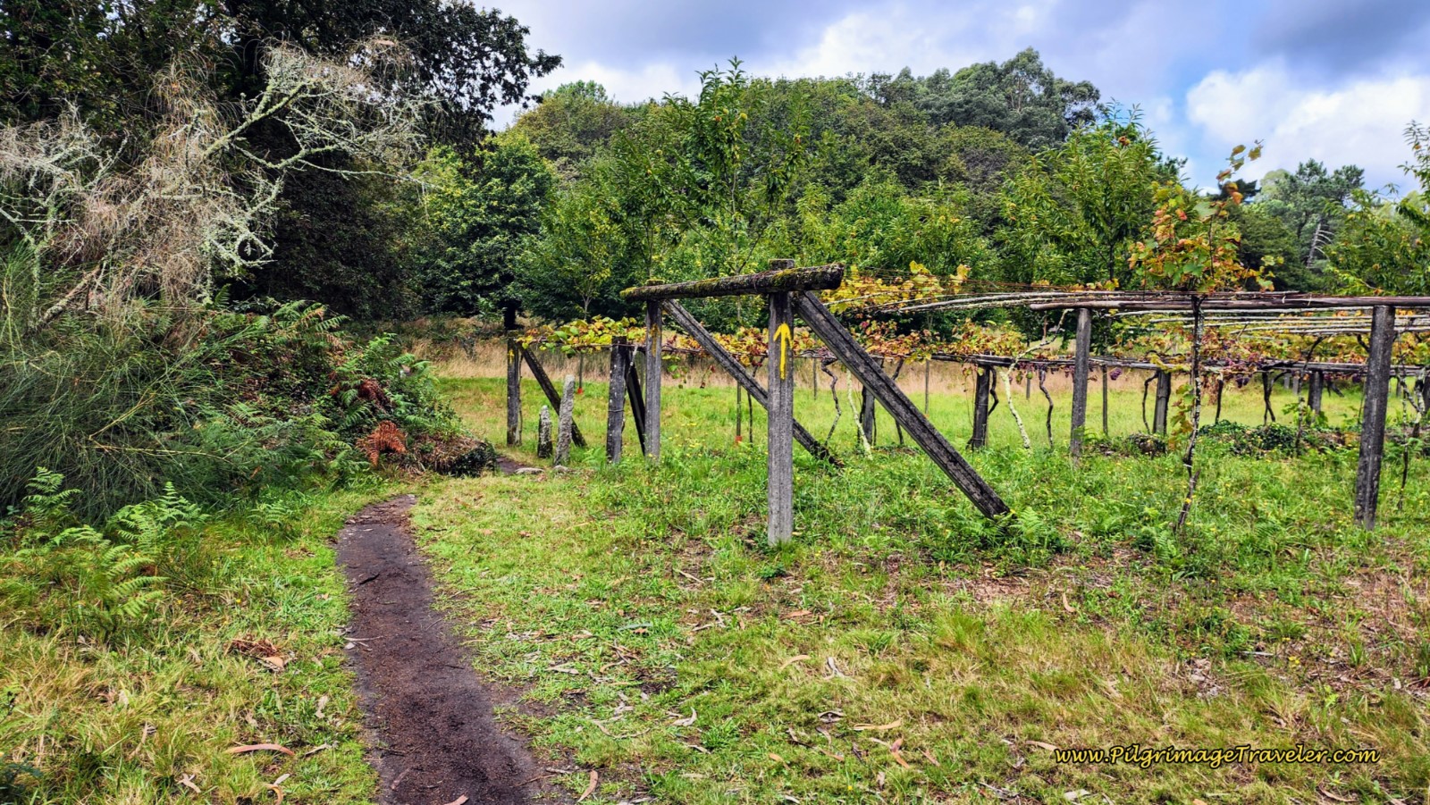 Continue on Dirt Trail