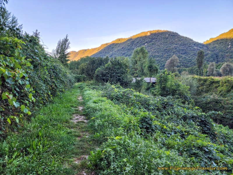 Way of St. Francis: Day Nineteen, Rieti to Poggio San Lorenzo - Cross Bridge Through the Field