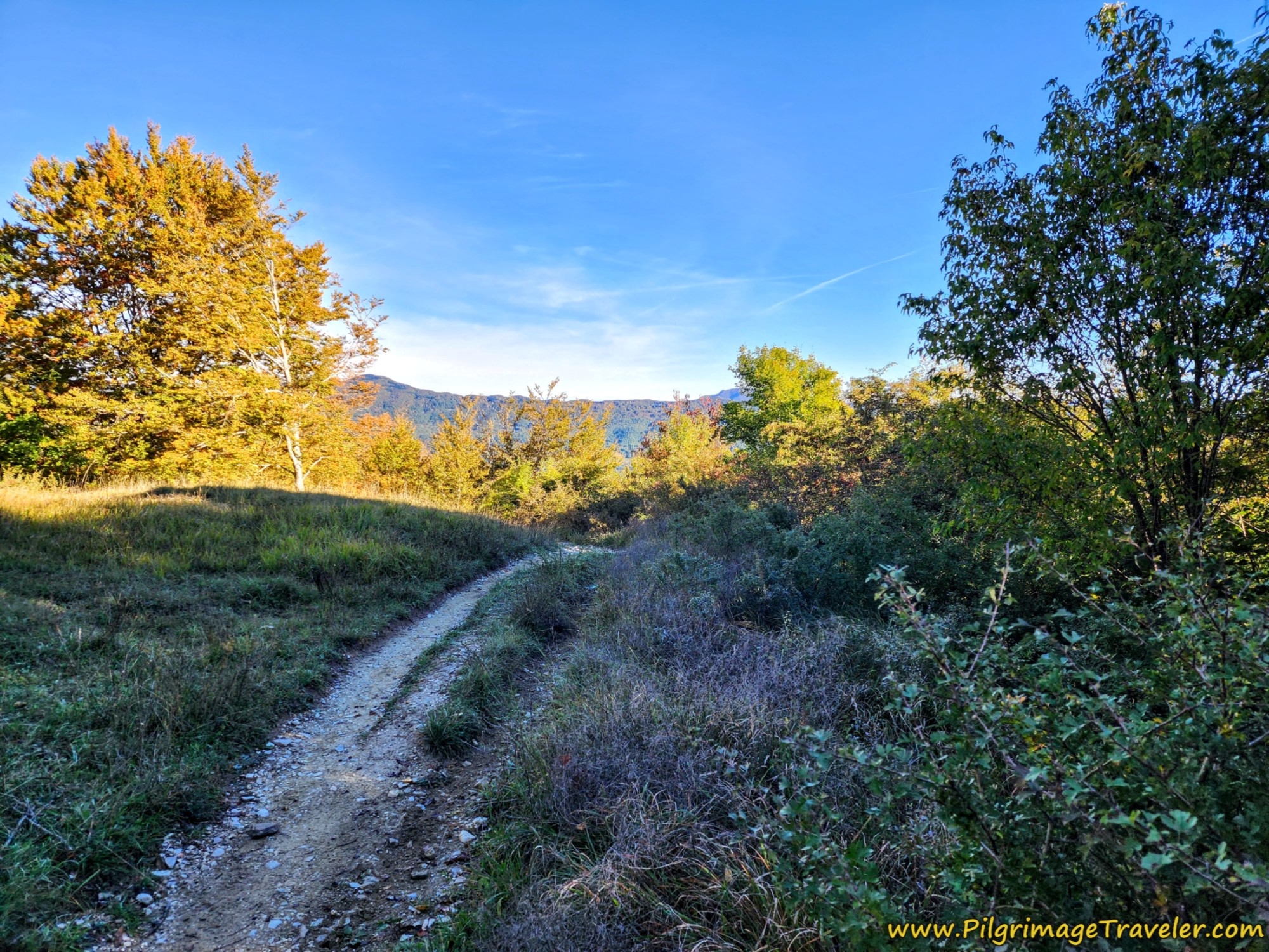 A Lane Appears at the Foot of the Meadow
