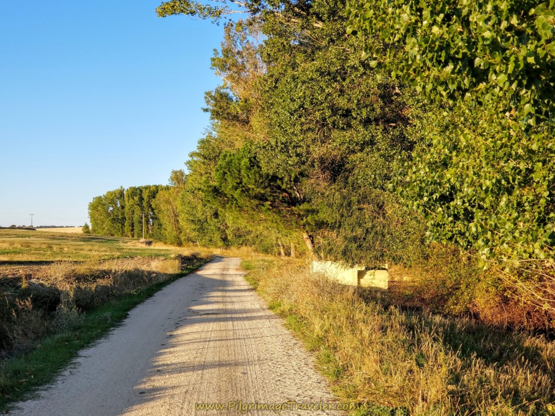 Follow Arroyo de Molinillo