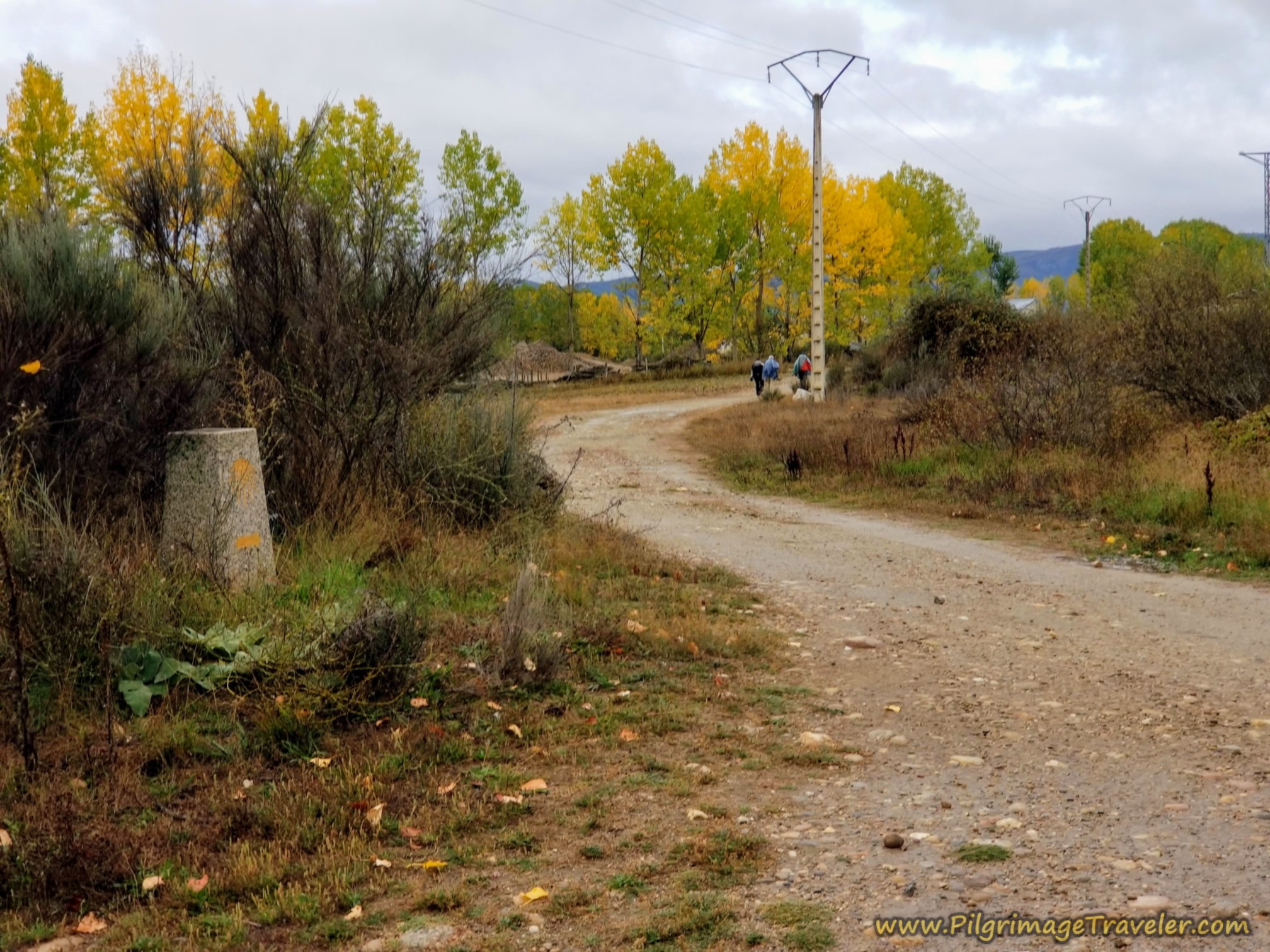 Meander Along the Río Castro River Valley