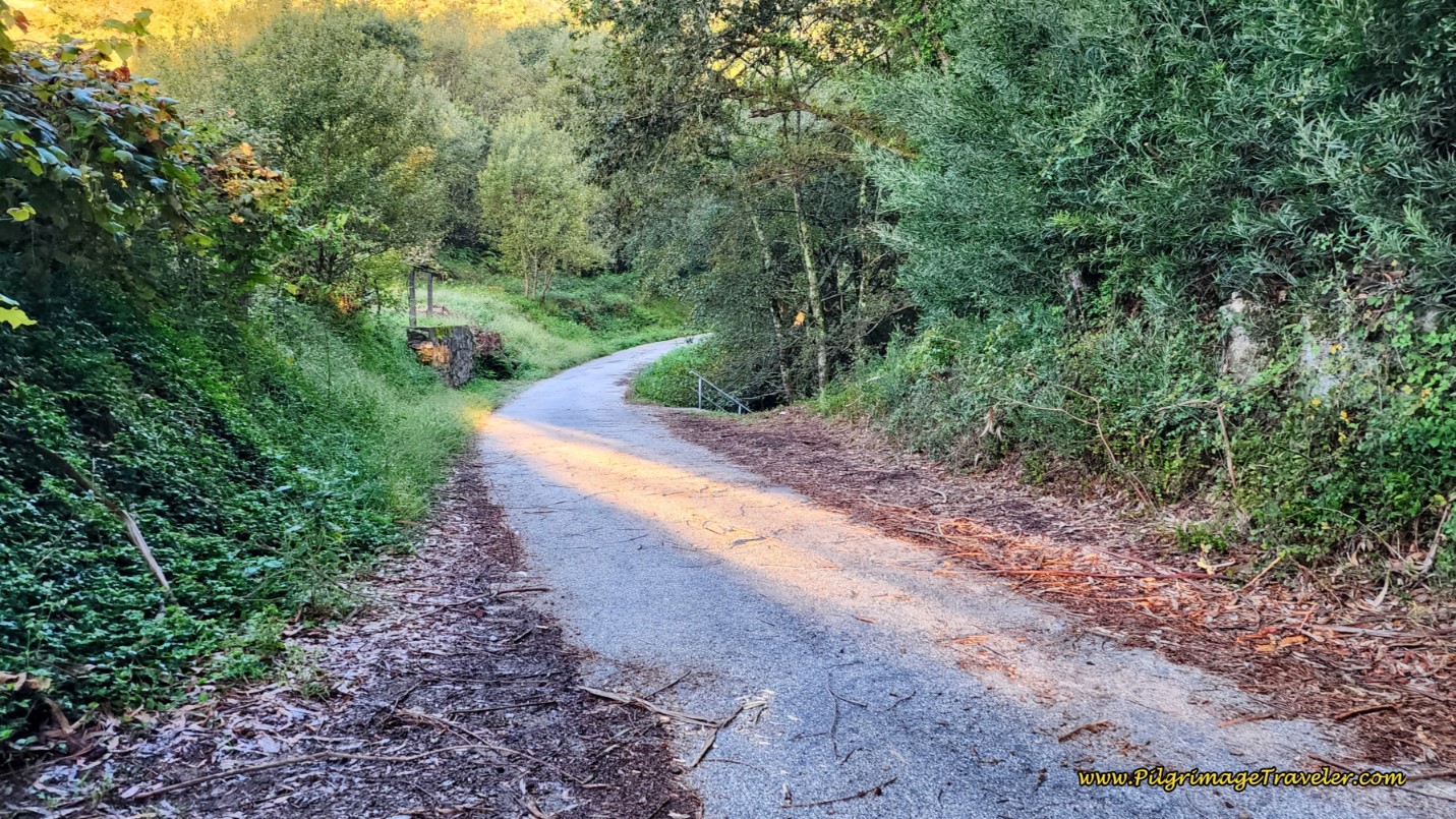 On the Road to Armada