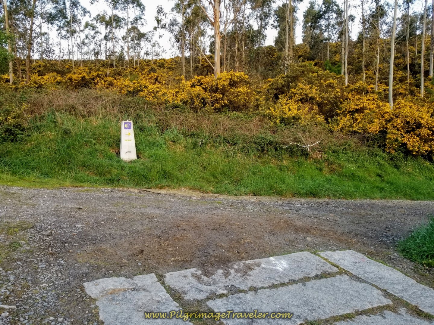 Pavers End at Right Turn