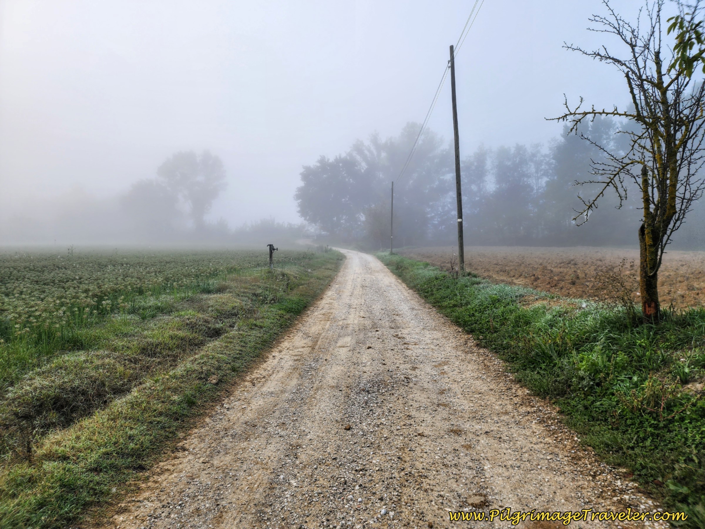 Turn Onto Pleasant Gravel Lane