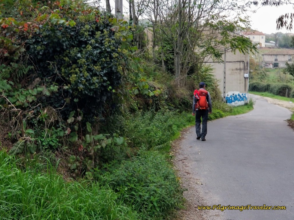 Pick Up the Royal Road, the Camiño Real Cudeiro Sur