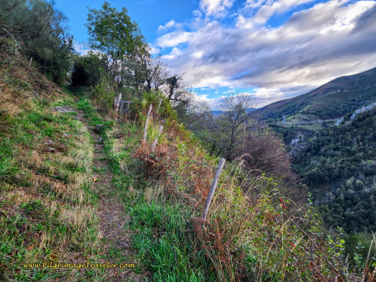 Steady Climbing Toward Llanos de Somerón