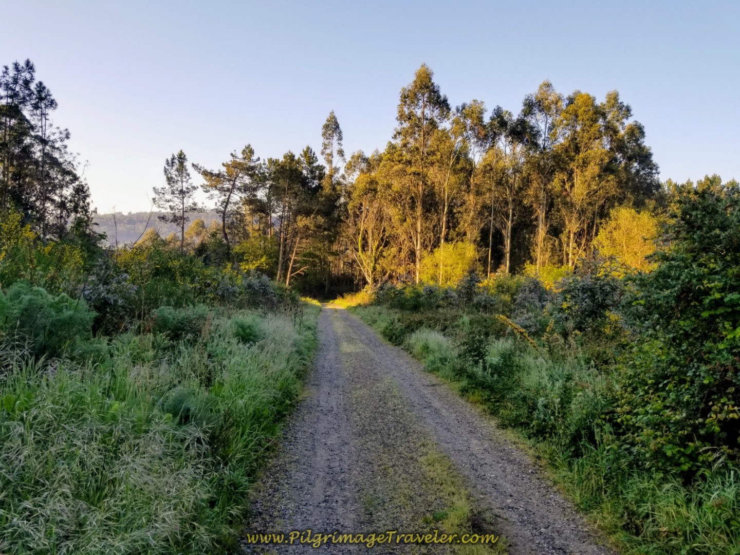 Street Becomes a Lane on day two of the La Coruña Arm of the Camino Inglés