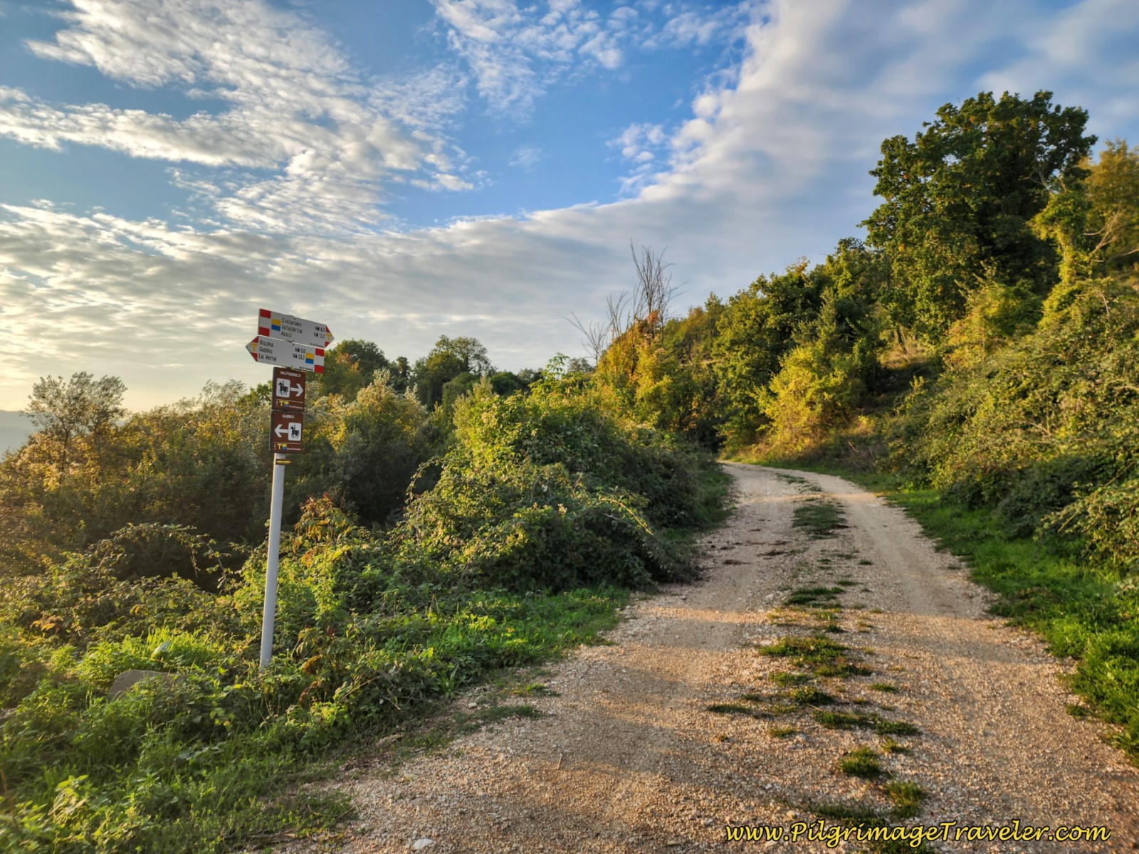 Veer to the Left Here by These Signs