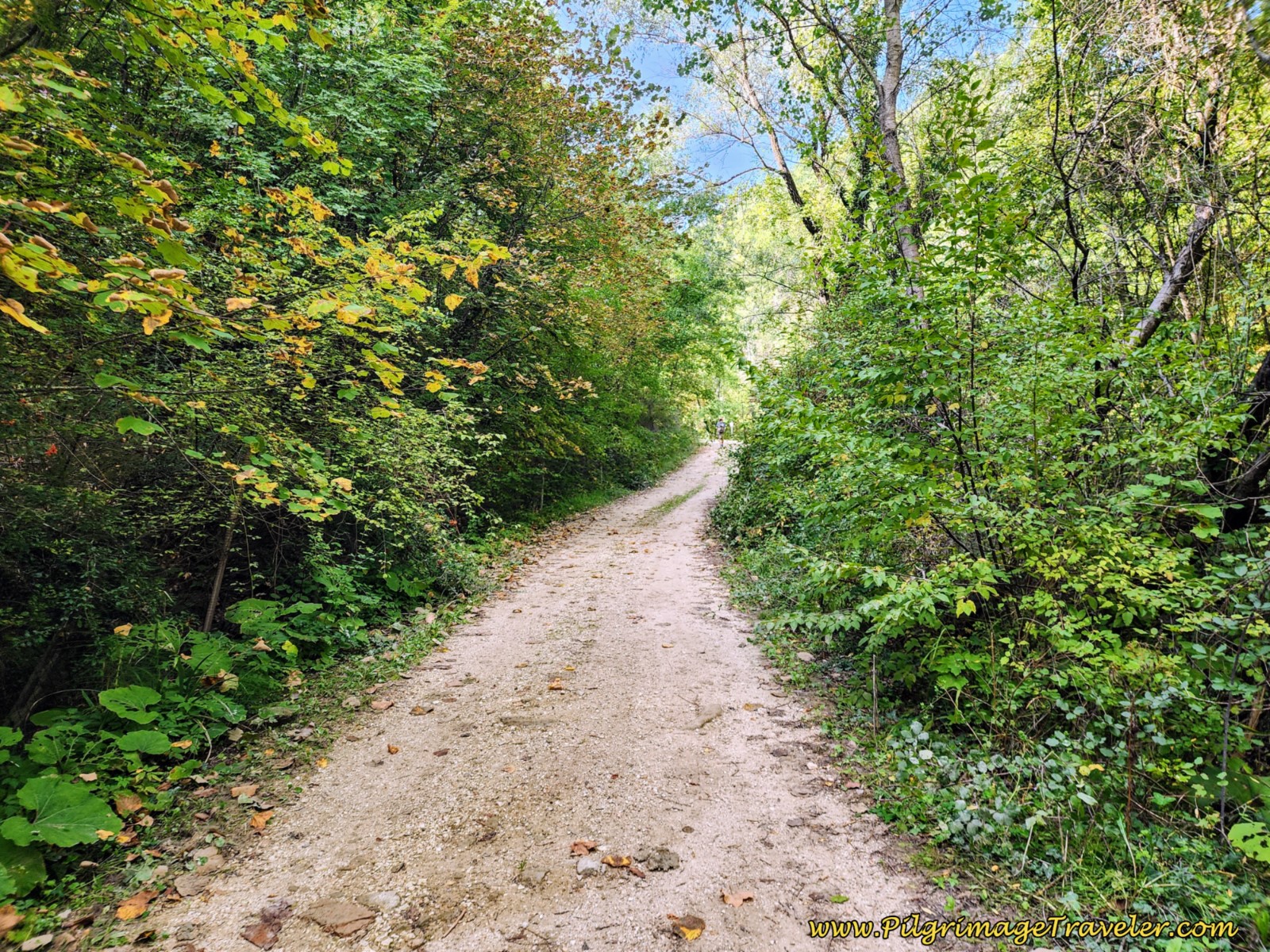 Wooded Gravel Lane, day ten, Way of St. Francis, Valfabbrica to Assisi