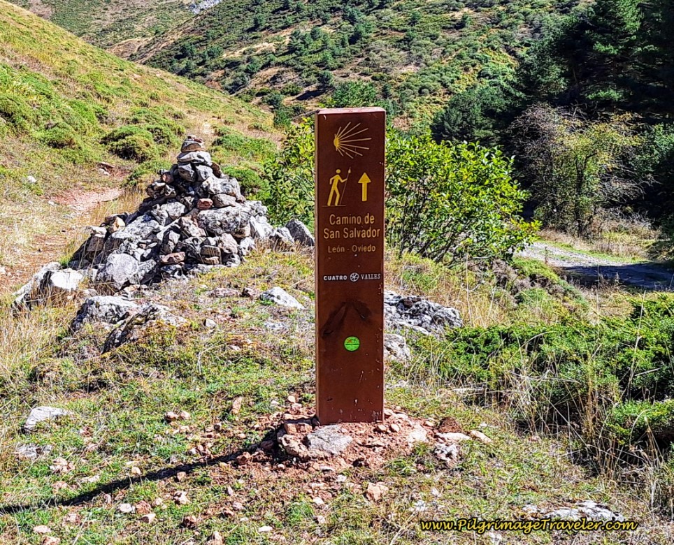 Typical Camino de San Salvador Wooden Waymark