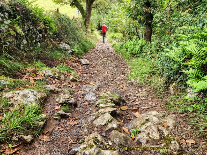 Ancient Road on the Way to Valduno