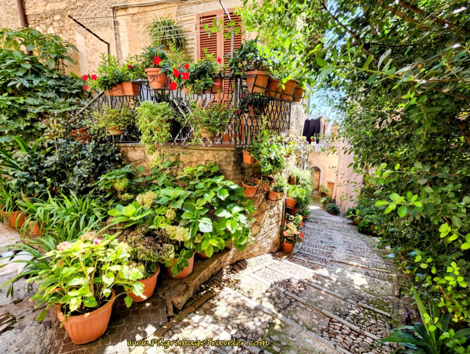 Incredibly charming flower pots line the Via Salaria Trevi, Perugia: The Medieval Heart of Umbria - Along the Via Salaria