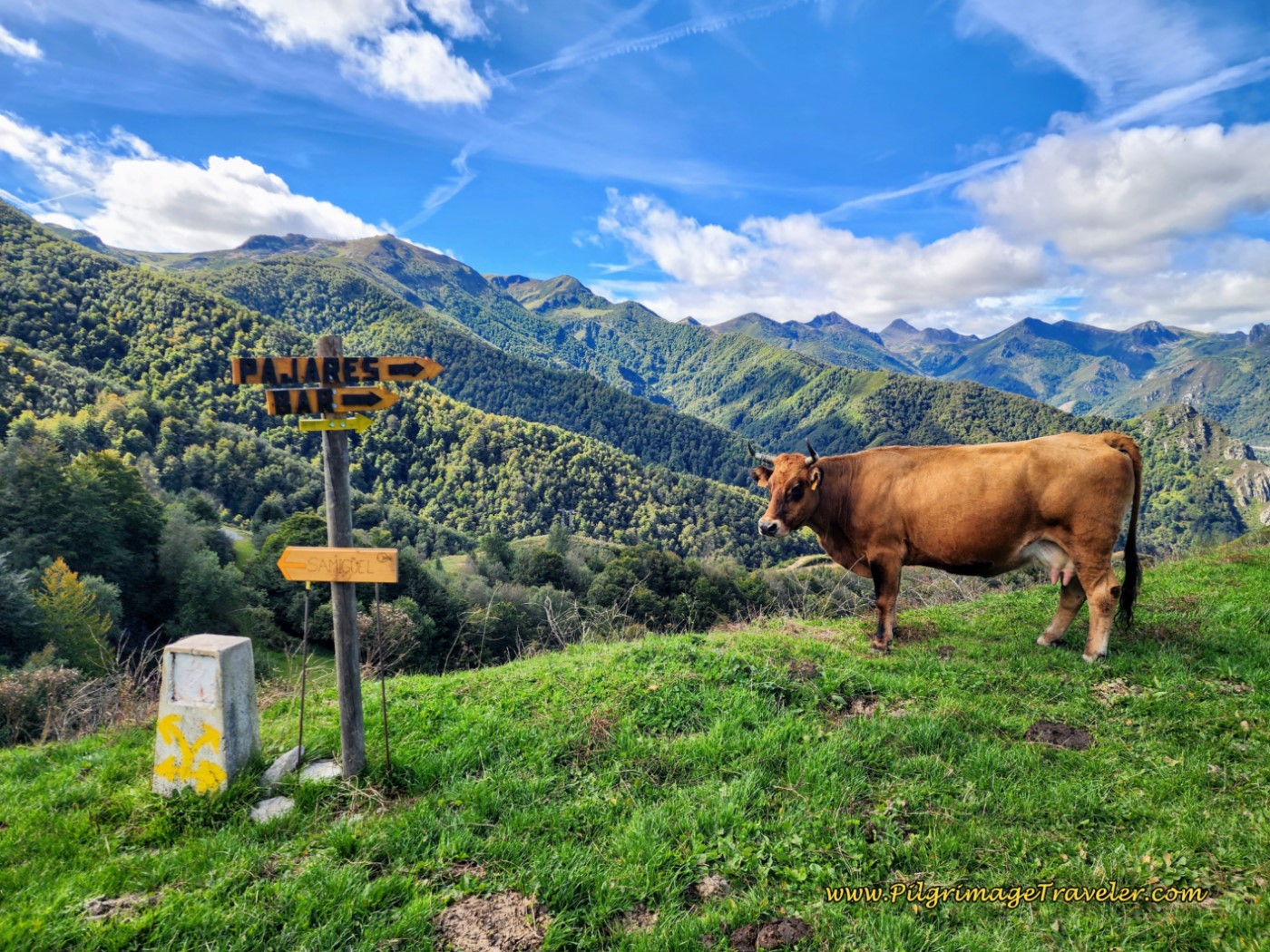 Asturian Waymark High in the Cantabrian Mountains